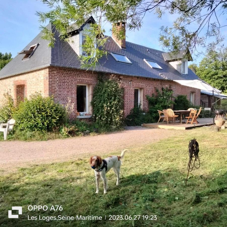 Une Chambre Dans La Verdure Bordeaux-Saint-Clair Екстер'єр фото